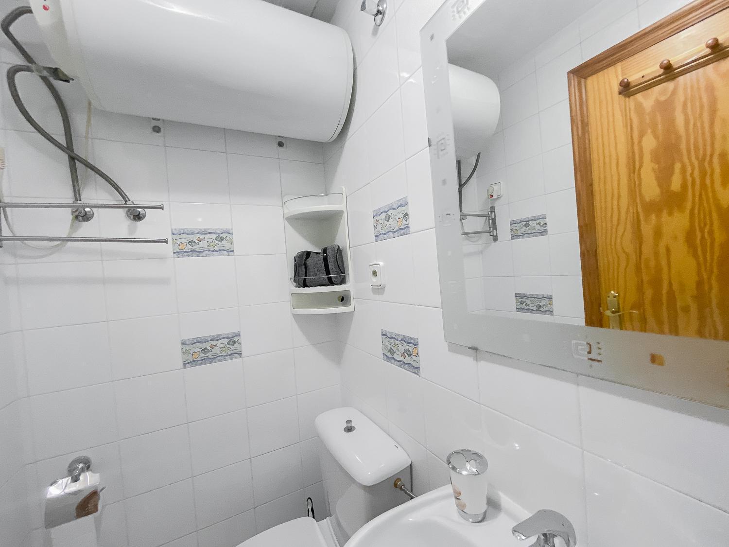 Estudio Plaza San Cristobal Leilighet Alicante Eksteriør bilde